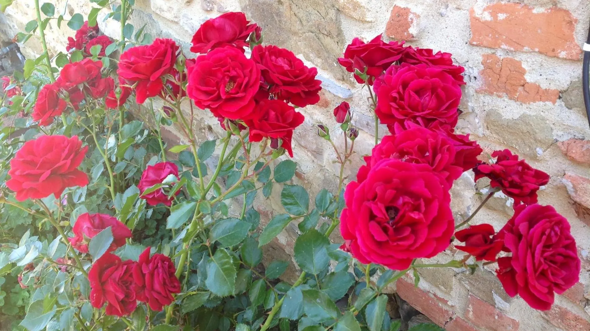 Agriturismo Prato Barone Rufina 0*,  Italië