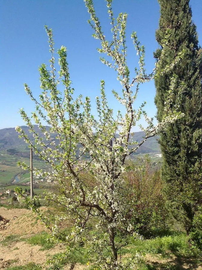 Vakantieboerderij Agriturismo Prato Barone Rufina Italië